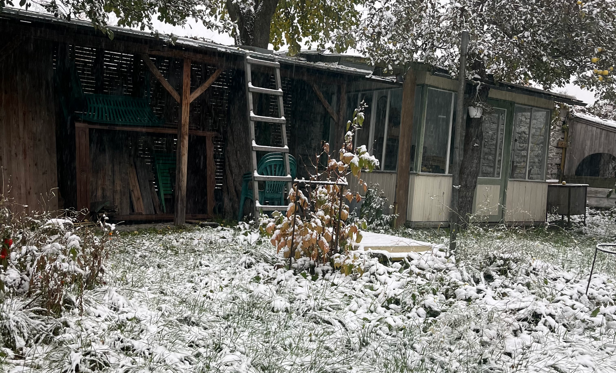 Winter Is Coming