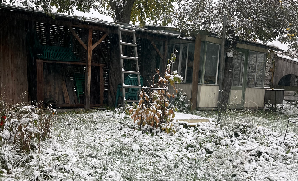 Winter Is Coming